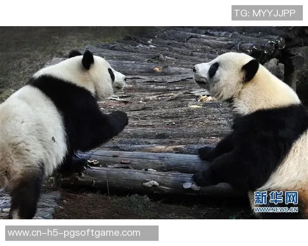 pg电子丛林水果-PG电子丛林水果，探索科技与自然的魅力交汇点-pg电子丛林水果